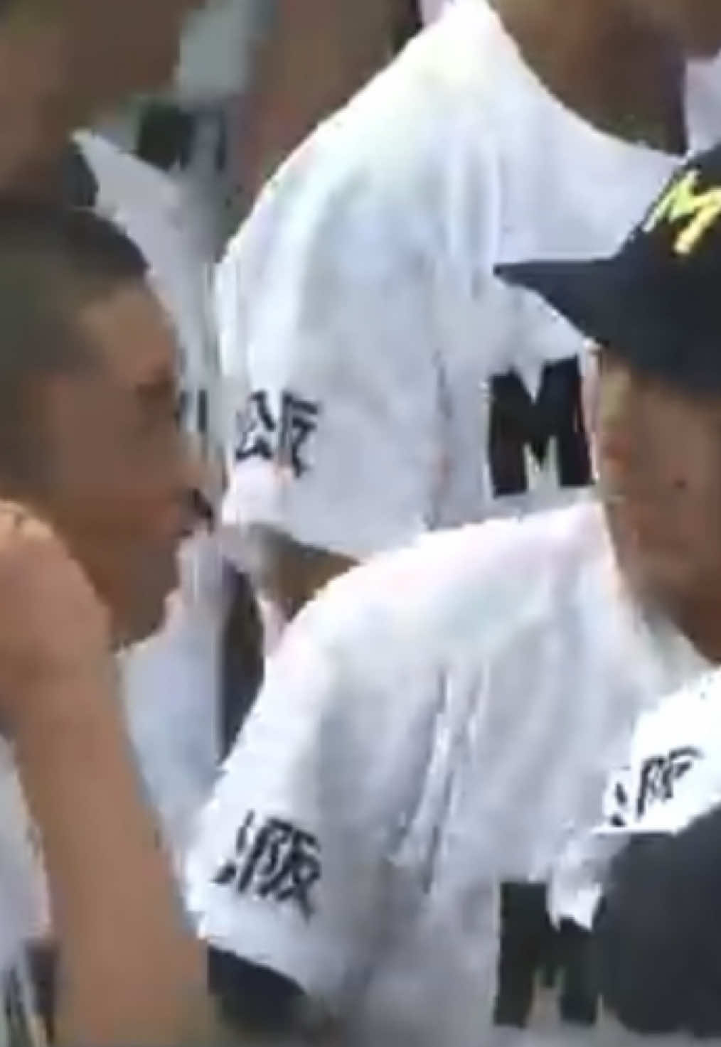 @〓Mr.鷹党〓