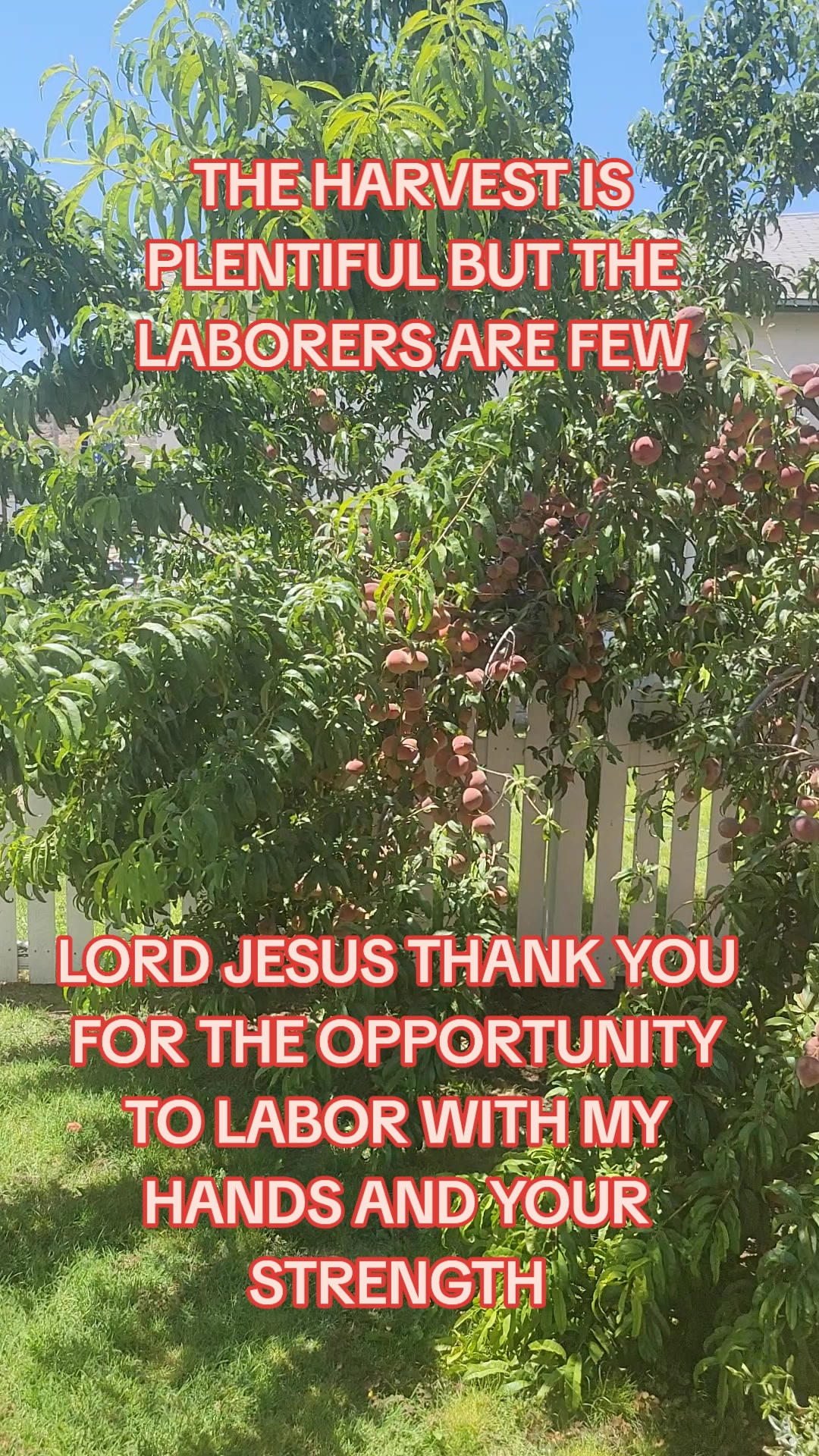 @BROTHER JOE GODS NEW CREATION