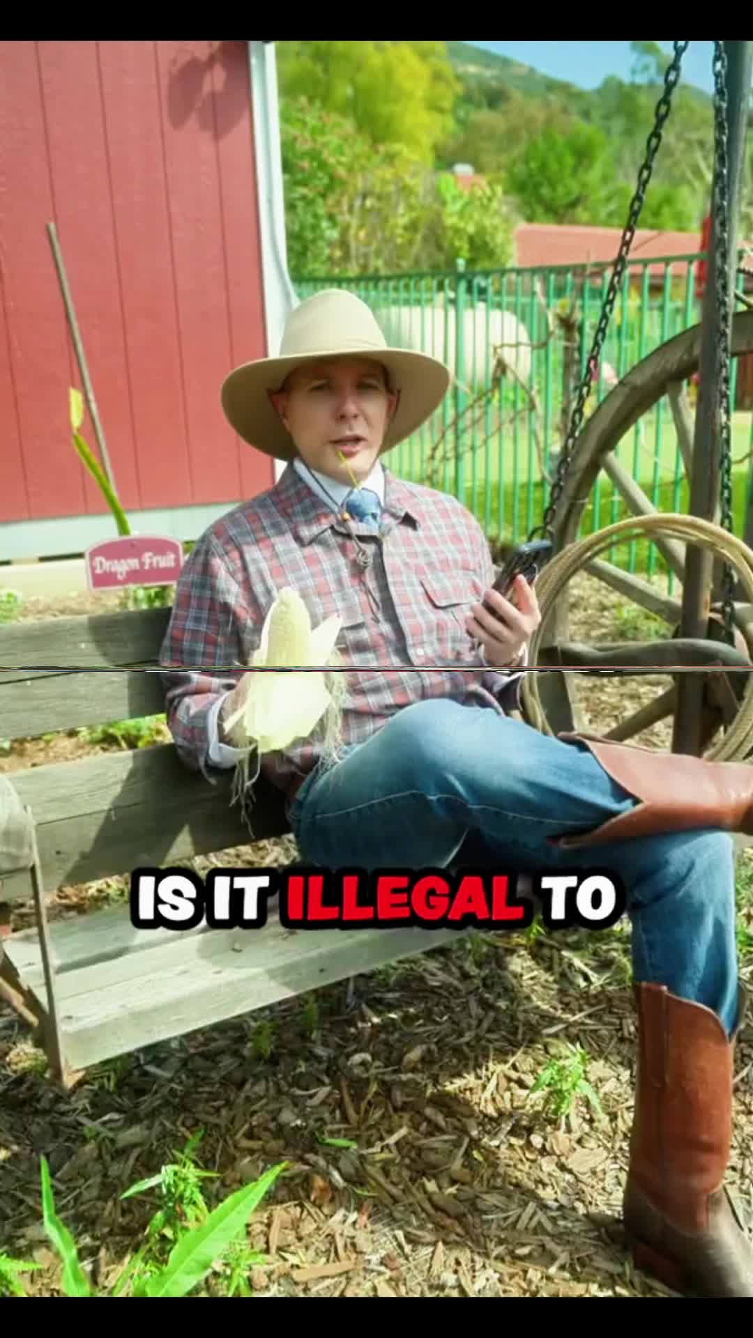 @LAW USA