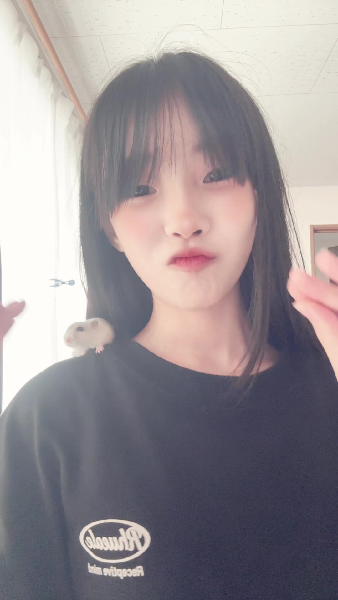 @˚ʚ♡ɞ˚🐿ྀི*`˘´*)🐹ྀི