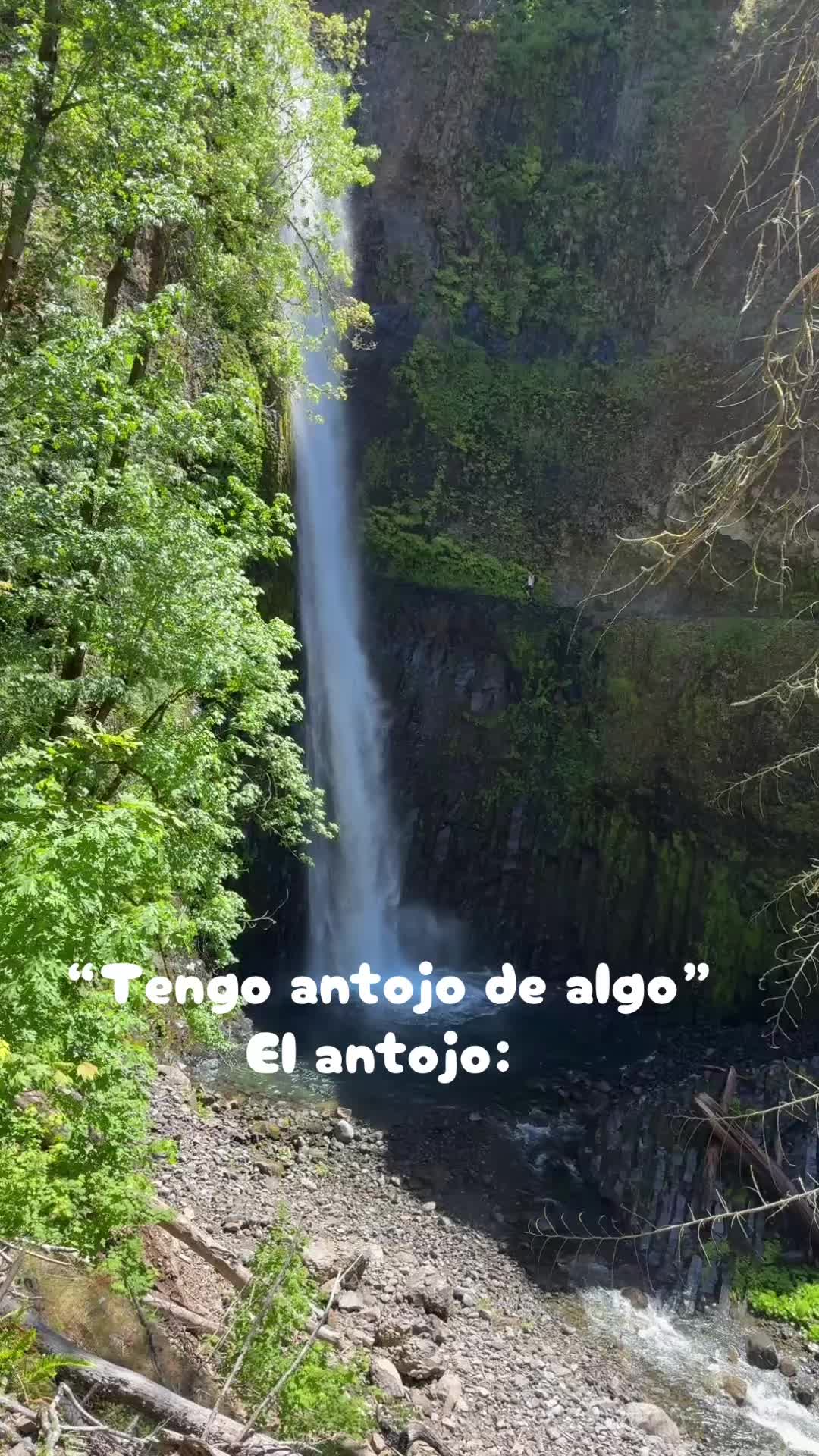 @Erika Valdovinos