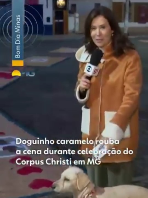 @g1