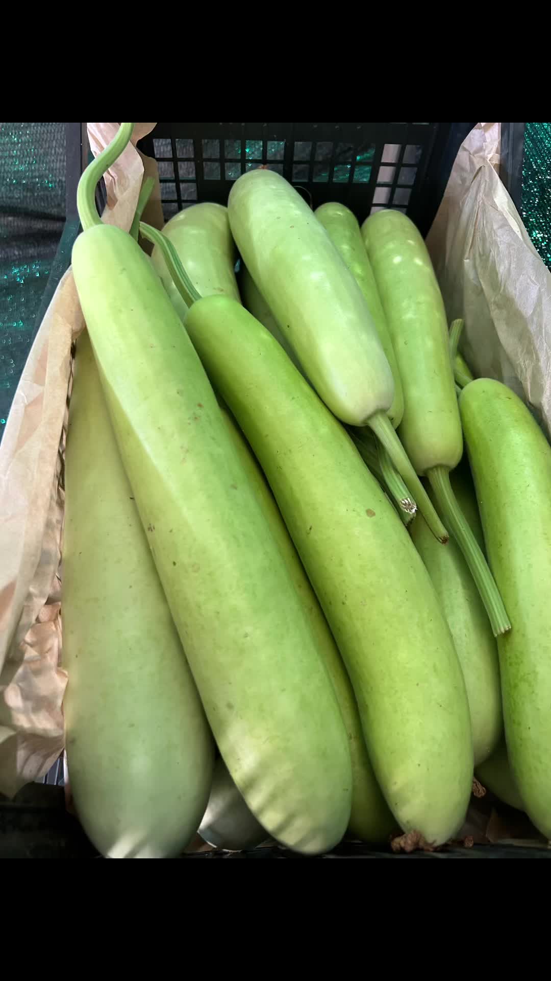 @BeantKauritaly