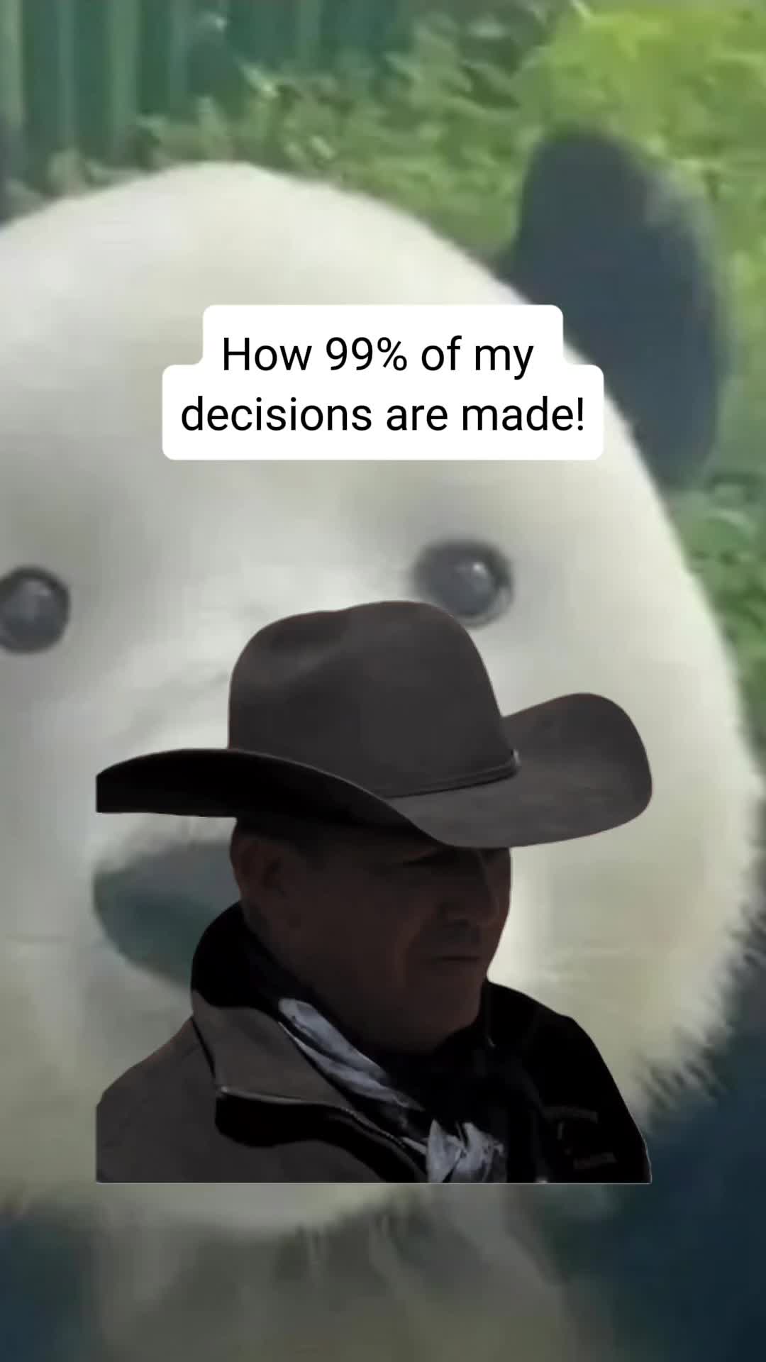 @👌jk👌