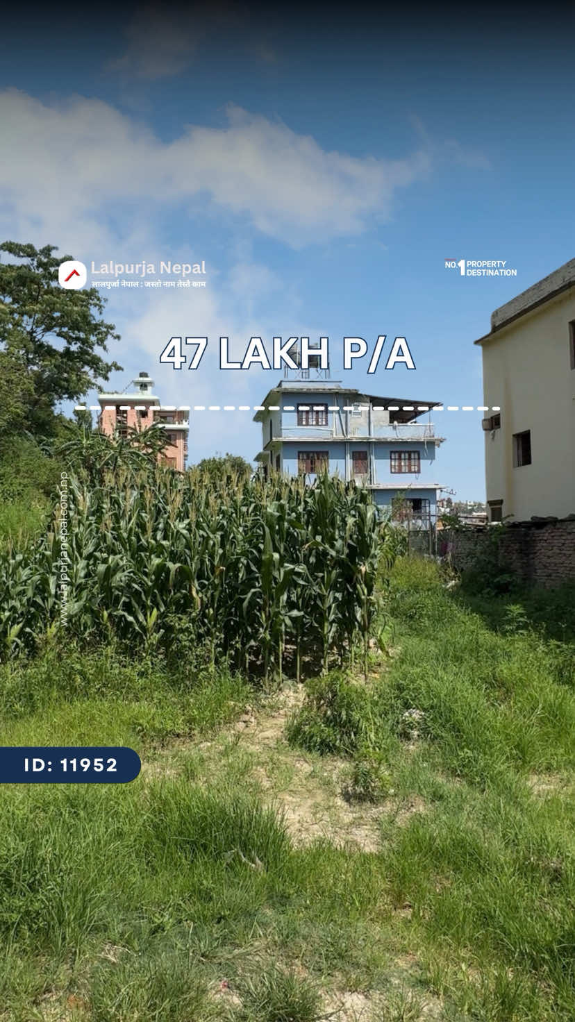 @Lalpurja Nepal लालपुर्जा नेपाल