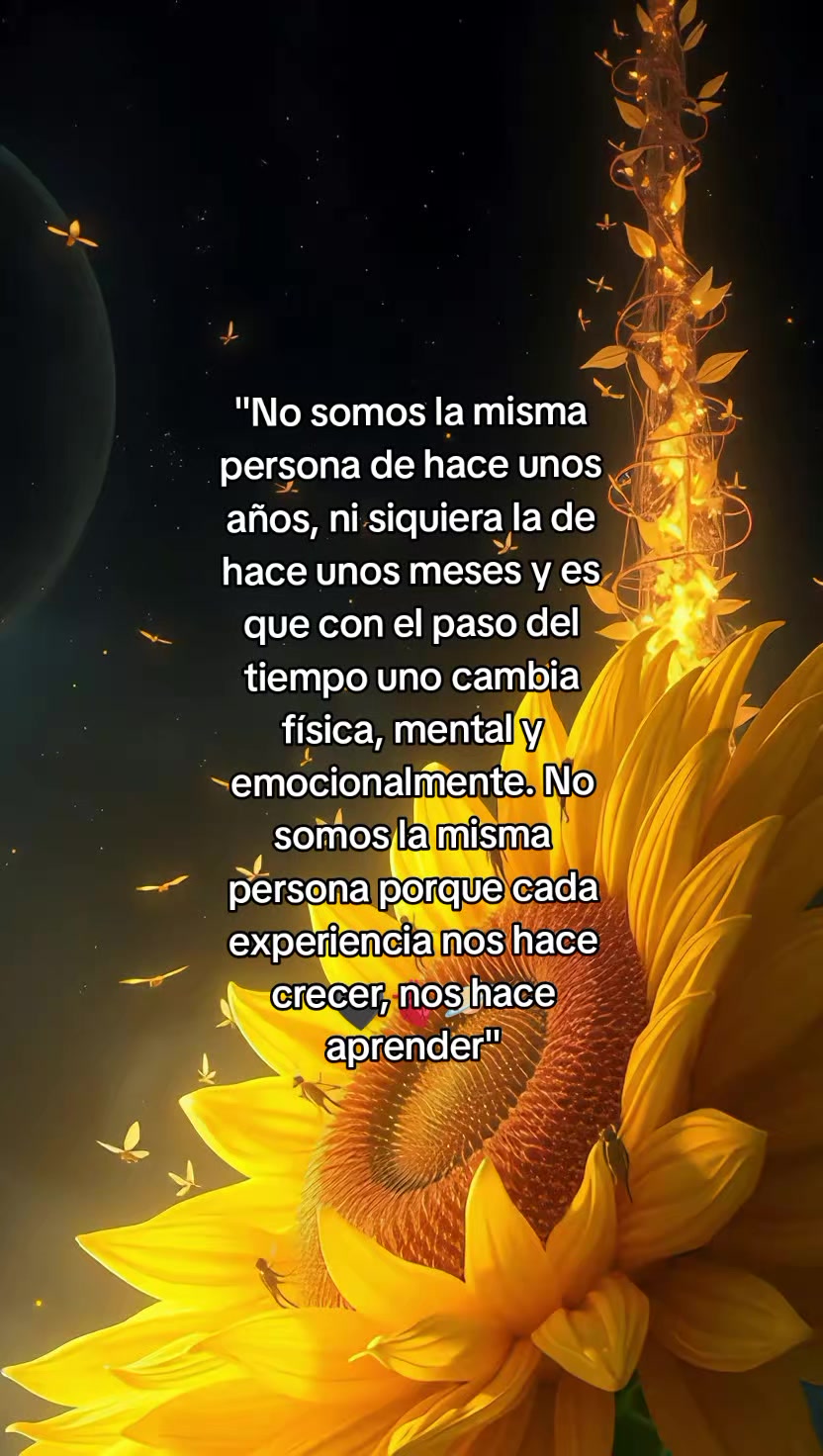 @꧁ღ💛🌻Mi bello Girasol🌻💛ღ꧂