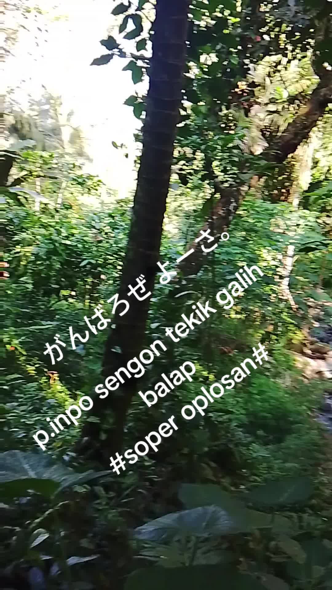 @BAROKAHKAMBING🐐