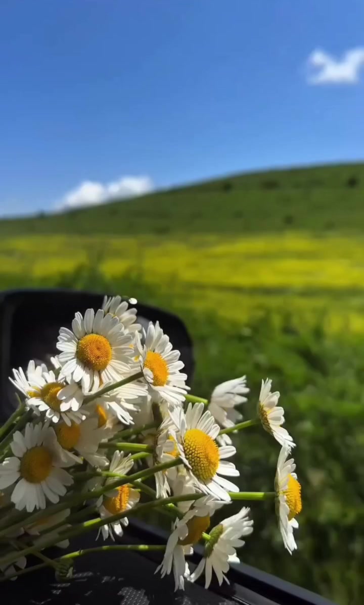 @🇰🇿🌺🌸Нᴀᴛᴀᴧья🌸Kz.16_ukg👋🤝