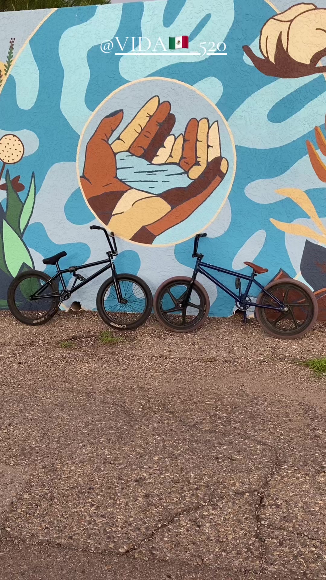 @Jesus_BMX🇲🇽