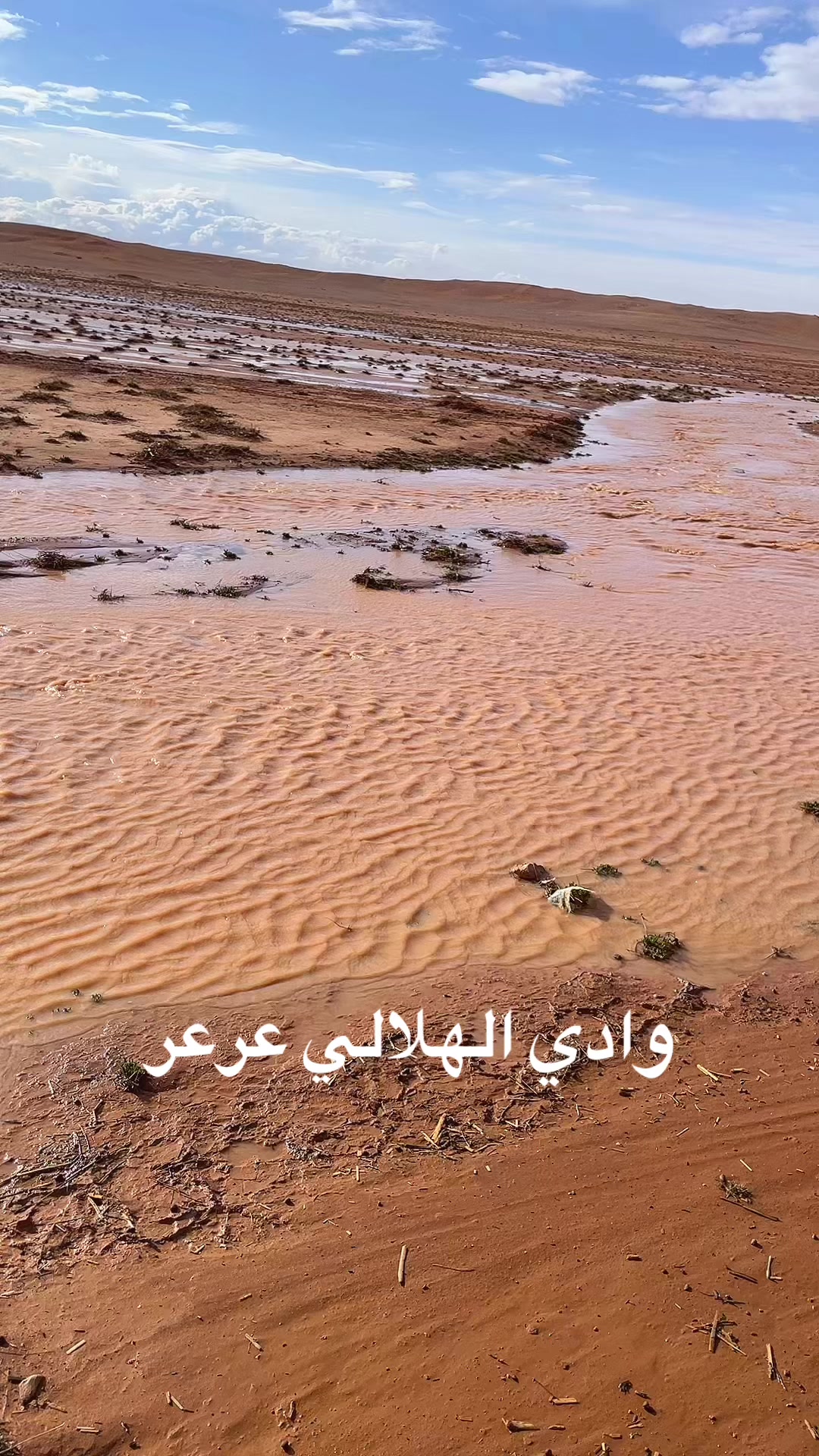 @احمد البلوي