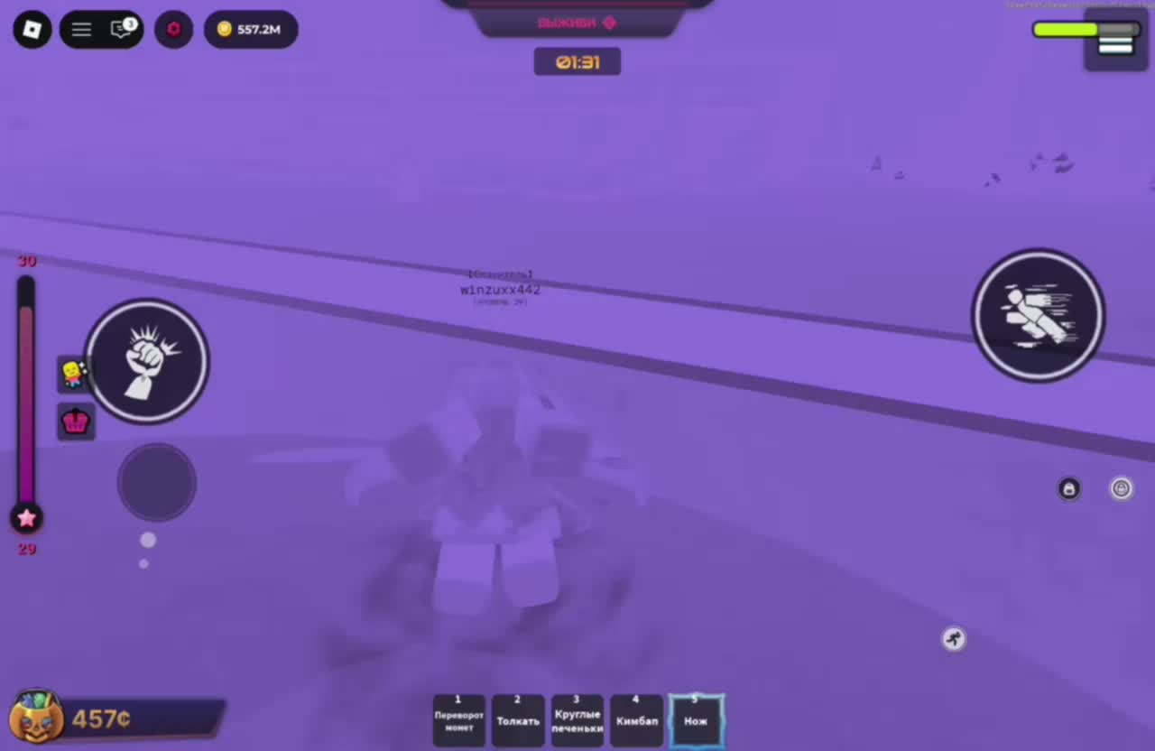 @Winzuxx.rbx