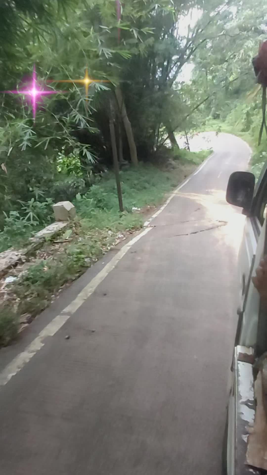 @manglele