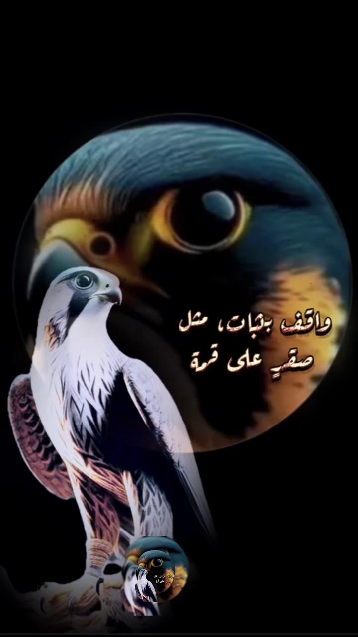 @ا꙰لـــــــ🇾🇪ـج☬👑ـوار🦅ح