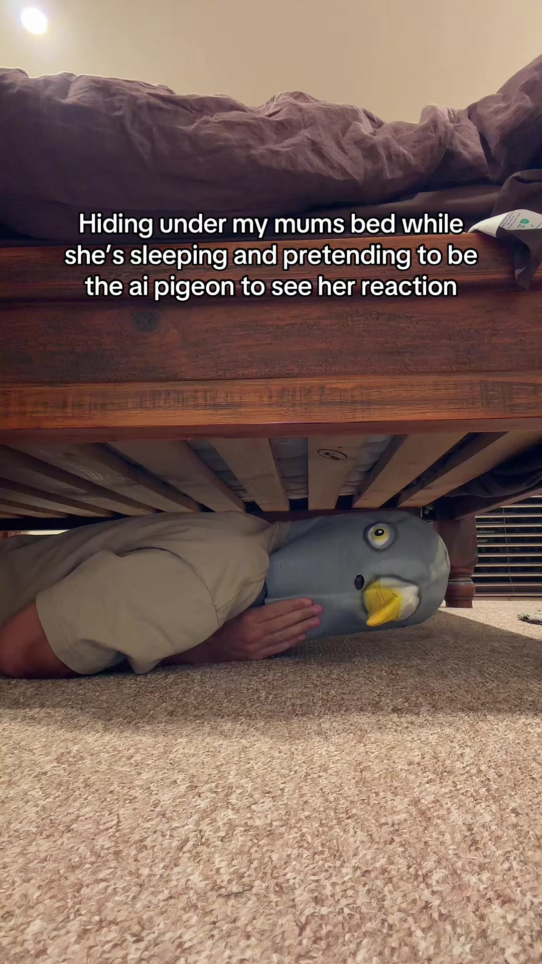 @Grumpy Leanne & Maitland