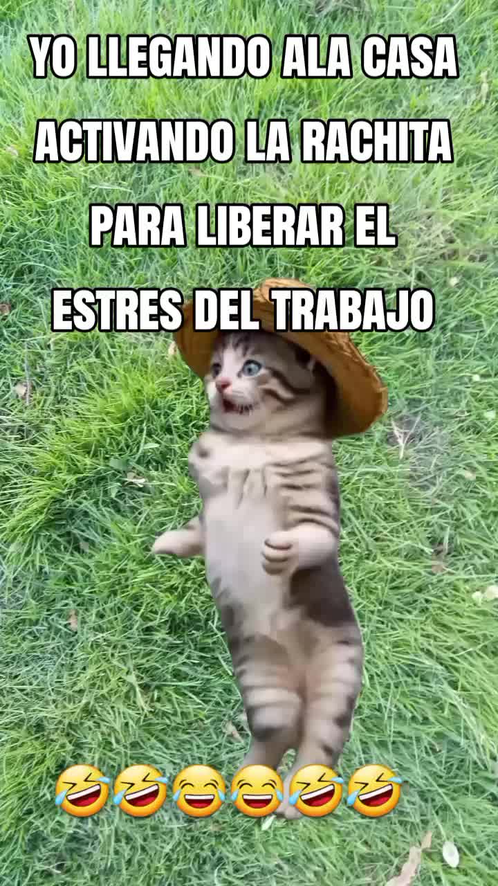 @villalobos Elizabeth