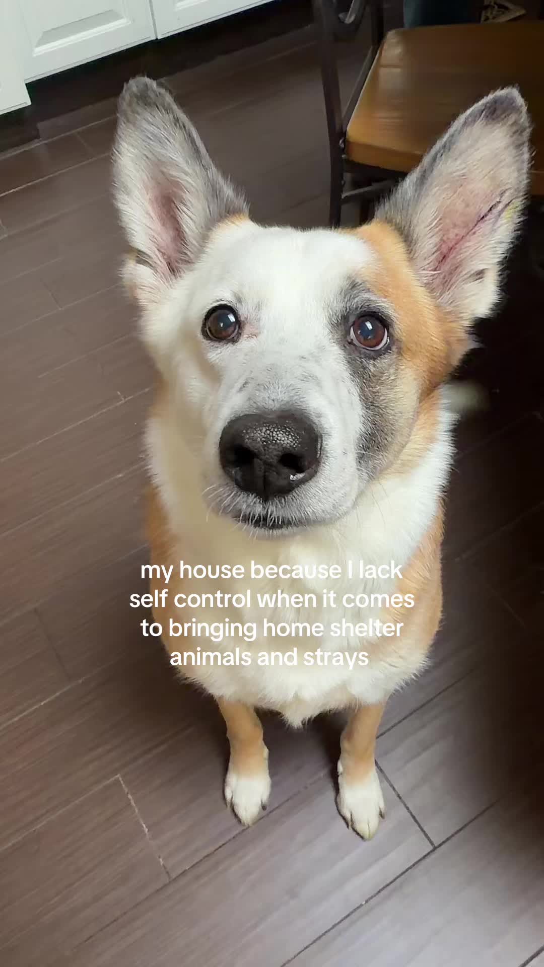 @ella 💓🎗️