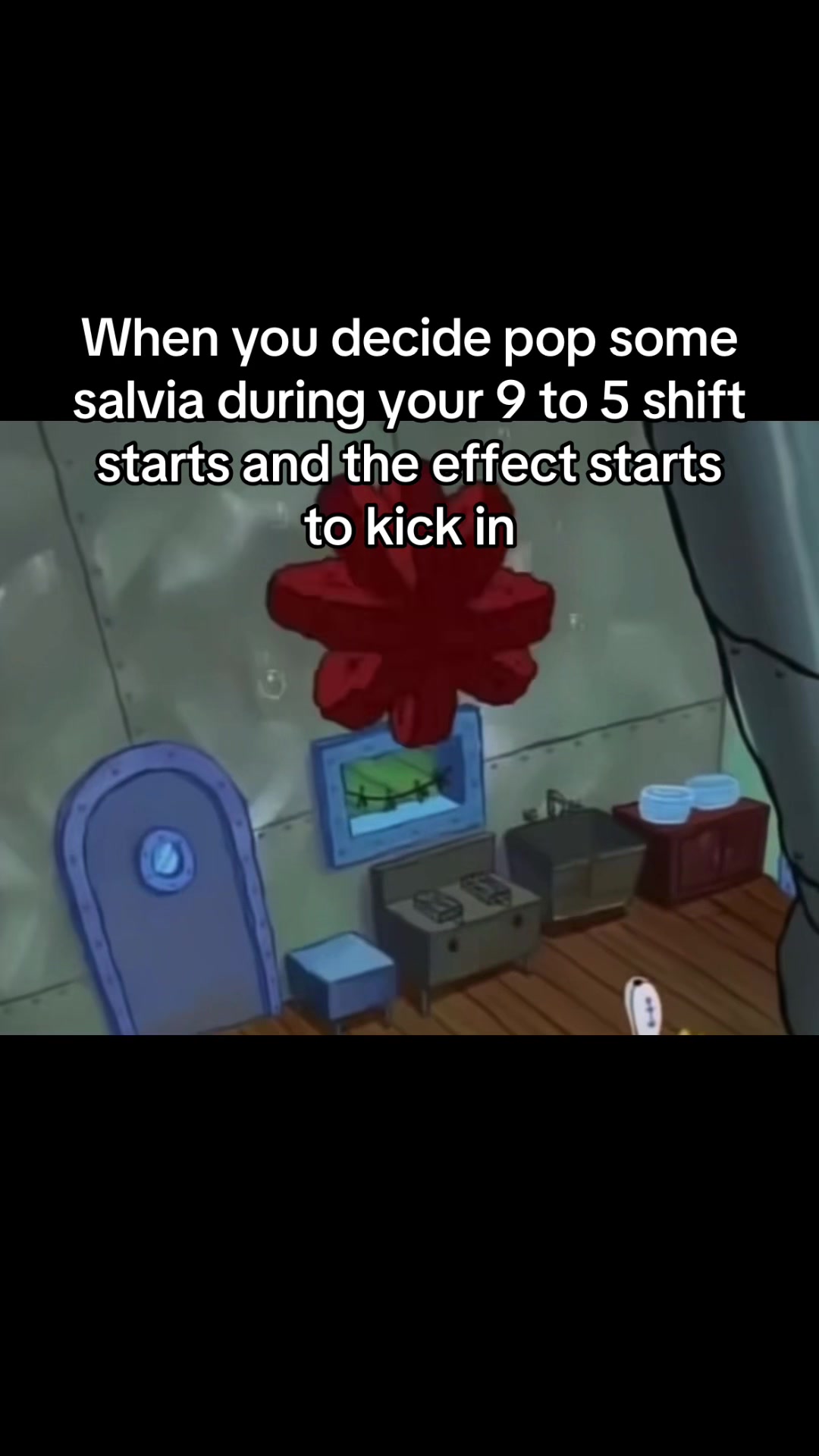 @๐๐ค๐ฃ๐ ๐๐โฐ