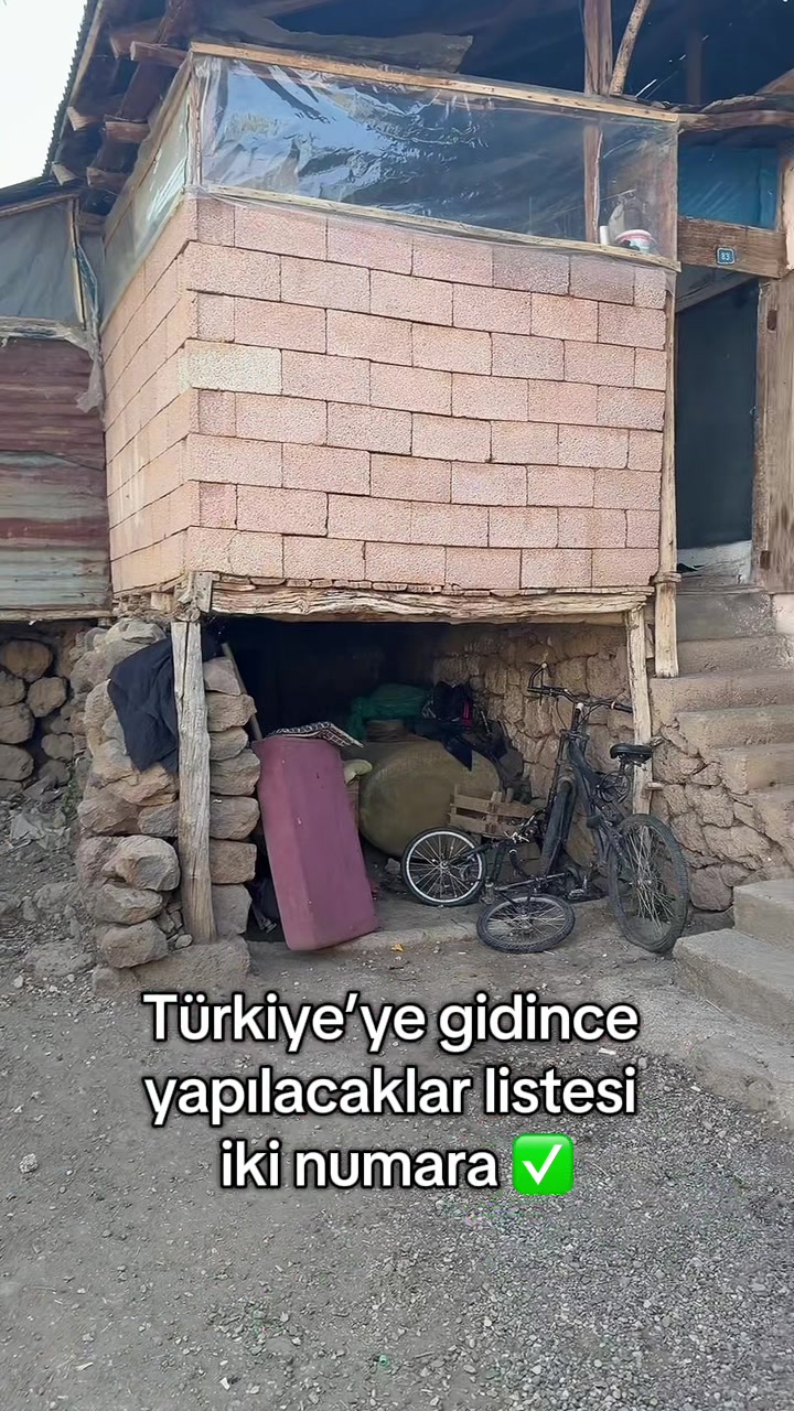 @seher neumann