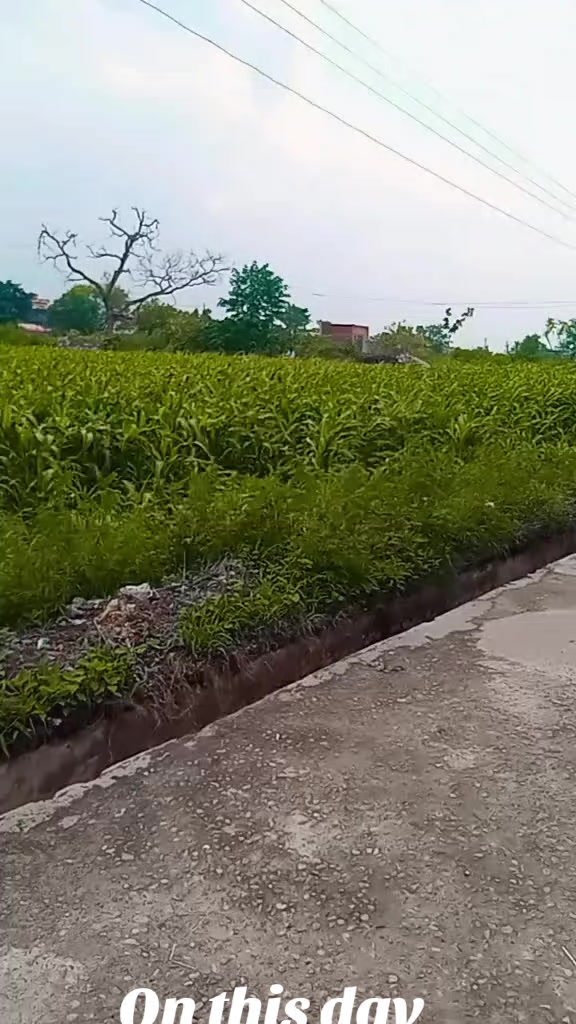 @بھٹی صاحب جی