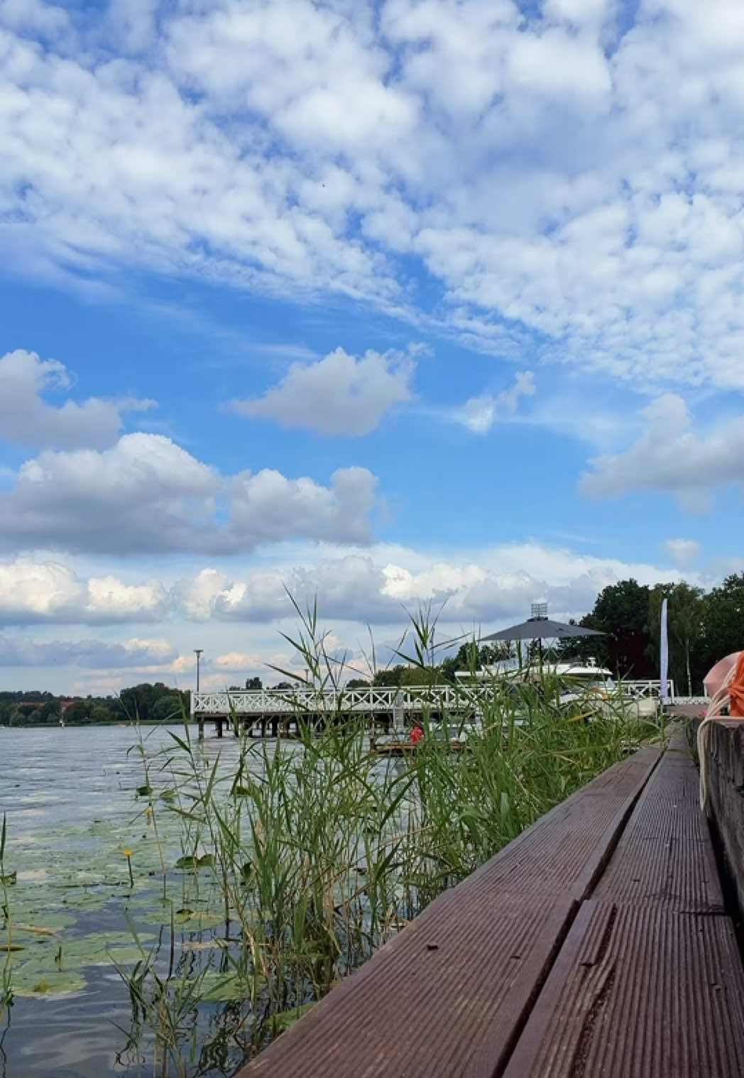 @dorota.k_🇵🇱