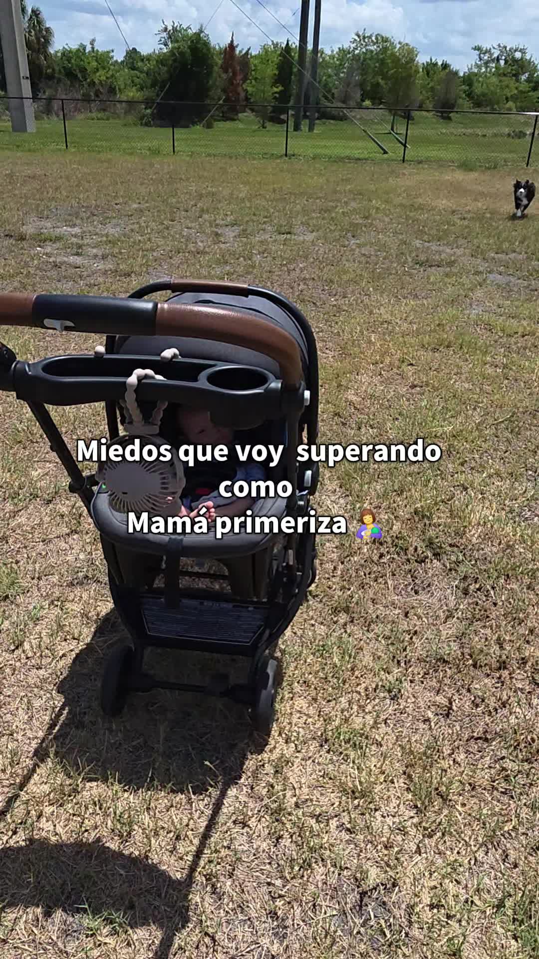 @🇵🇪MilyTim🇺🇸