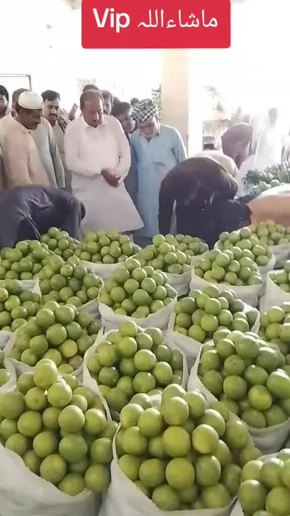 @mazhar Iqbal layyah wal