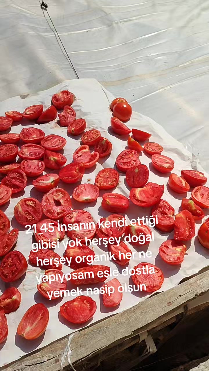 @Saliha Yavuz