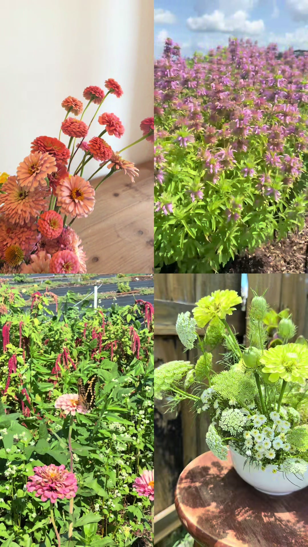 @Morgan | flowers and biz