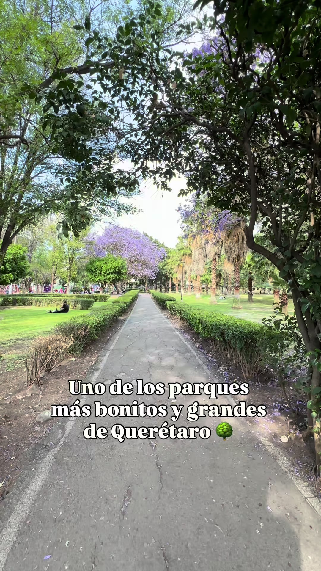 @Reporte Querétaro