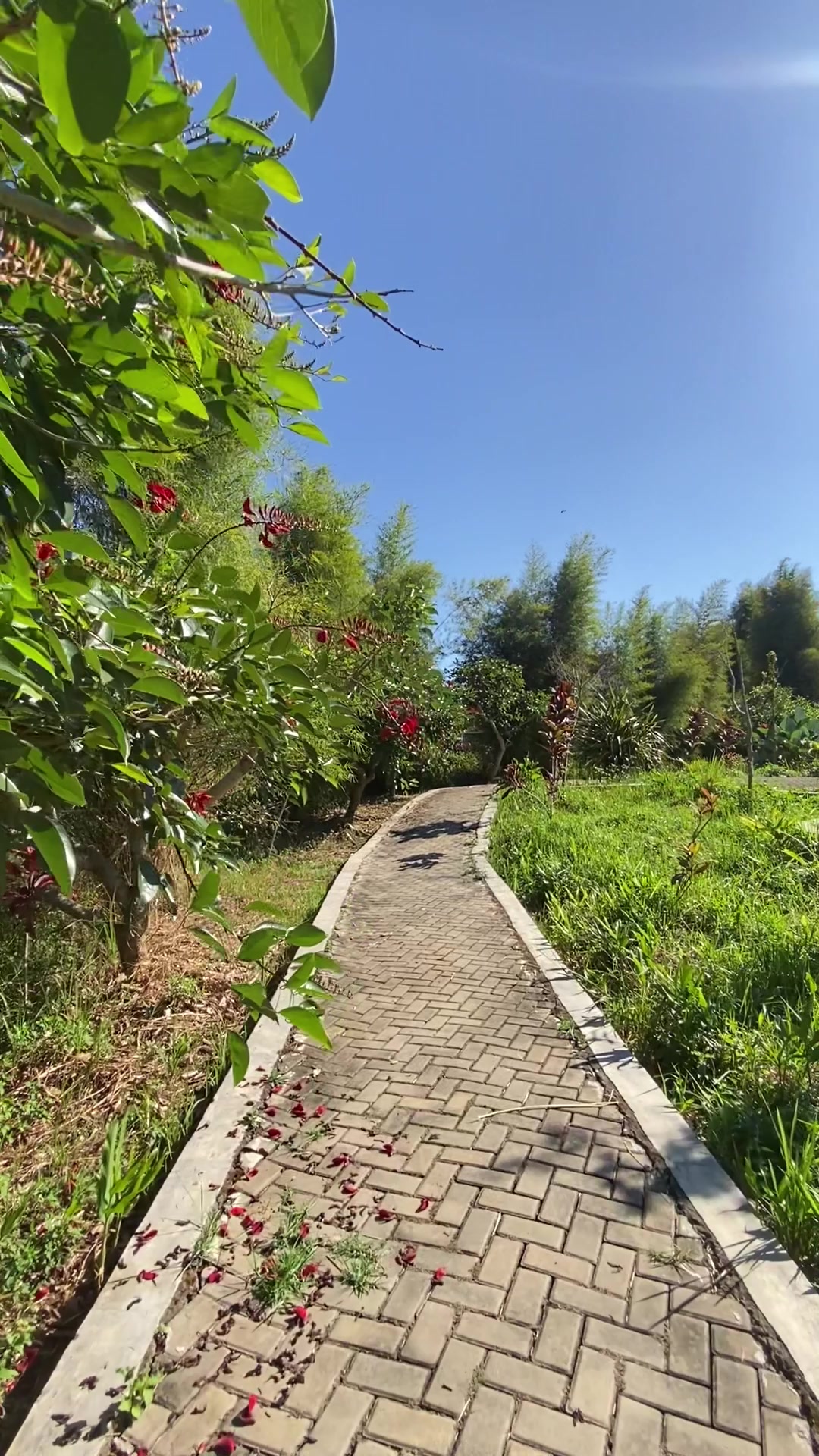 @Loji Cokro Estate