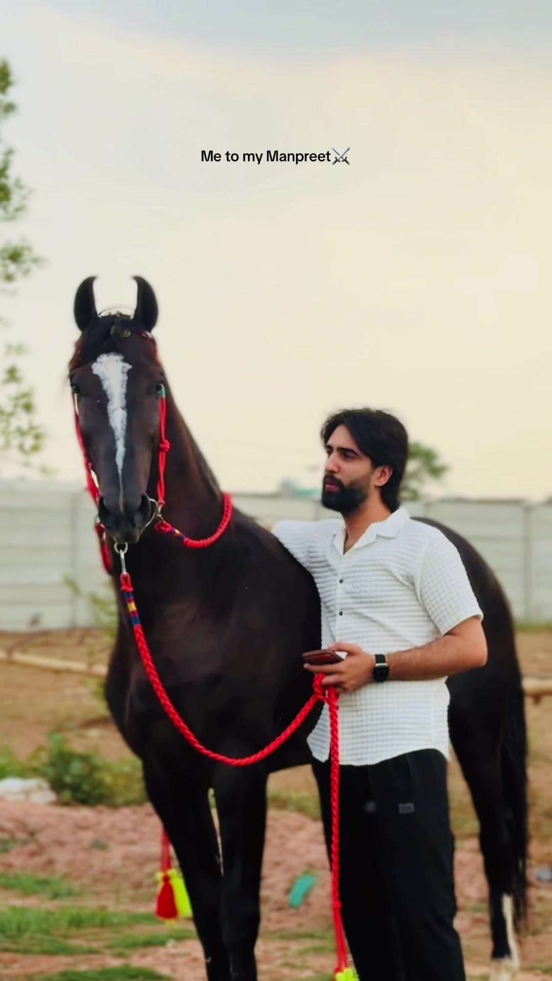 @#DSA🐎