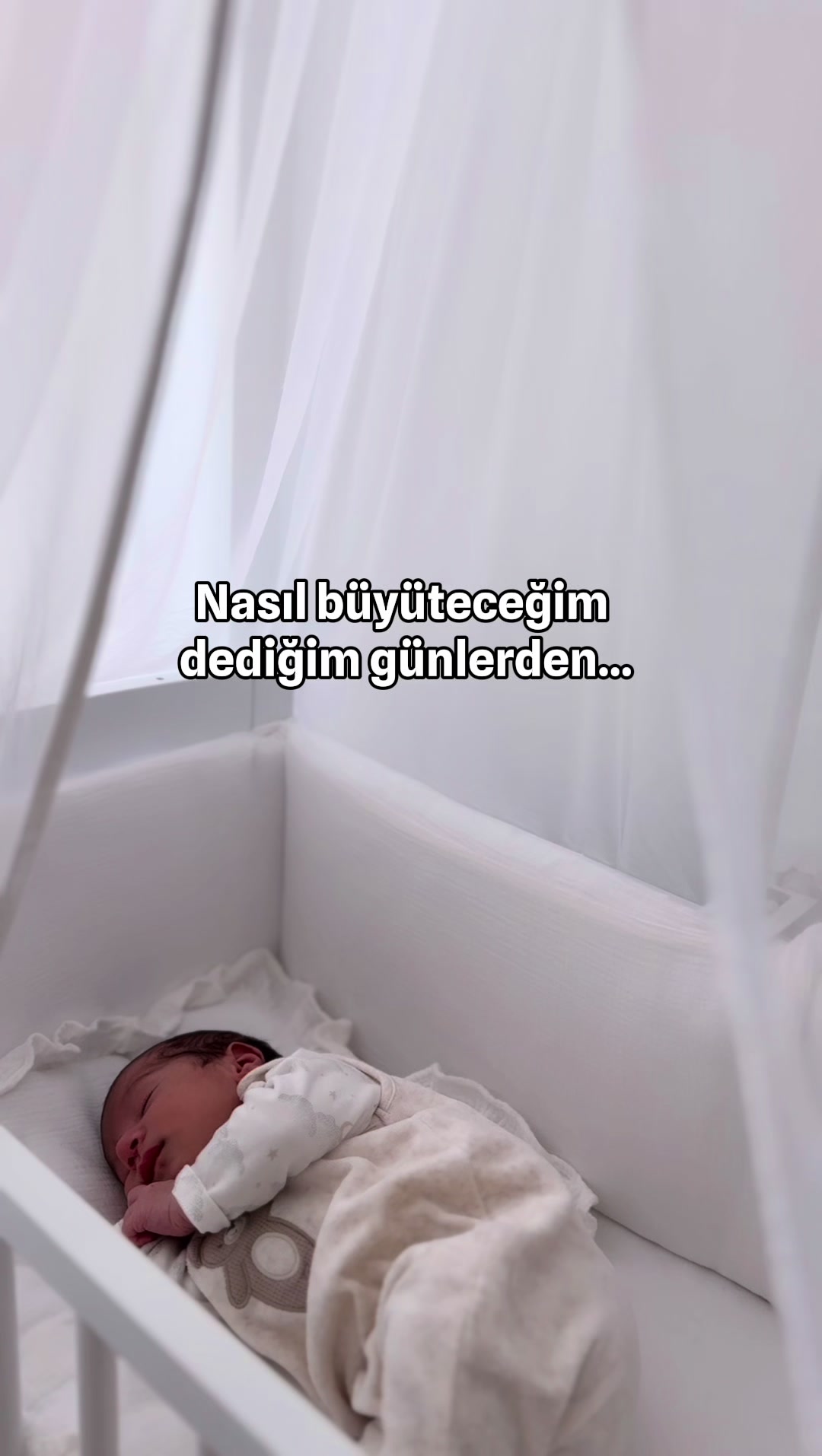 @withdogann
