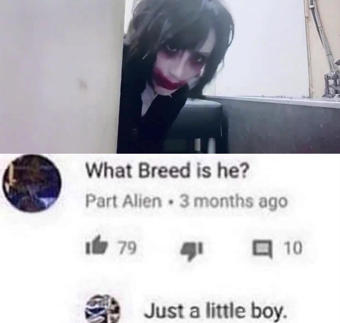 @hayami