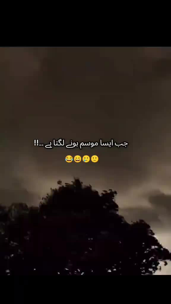 @zadi girl