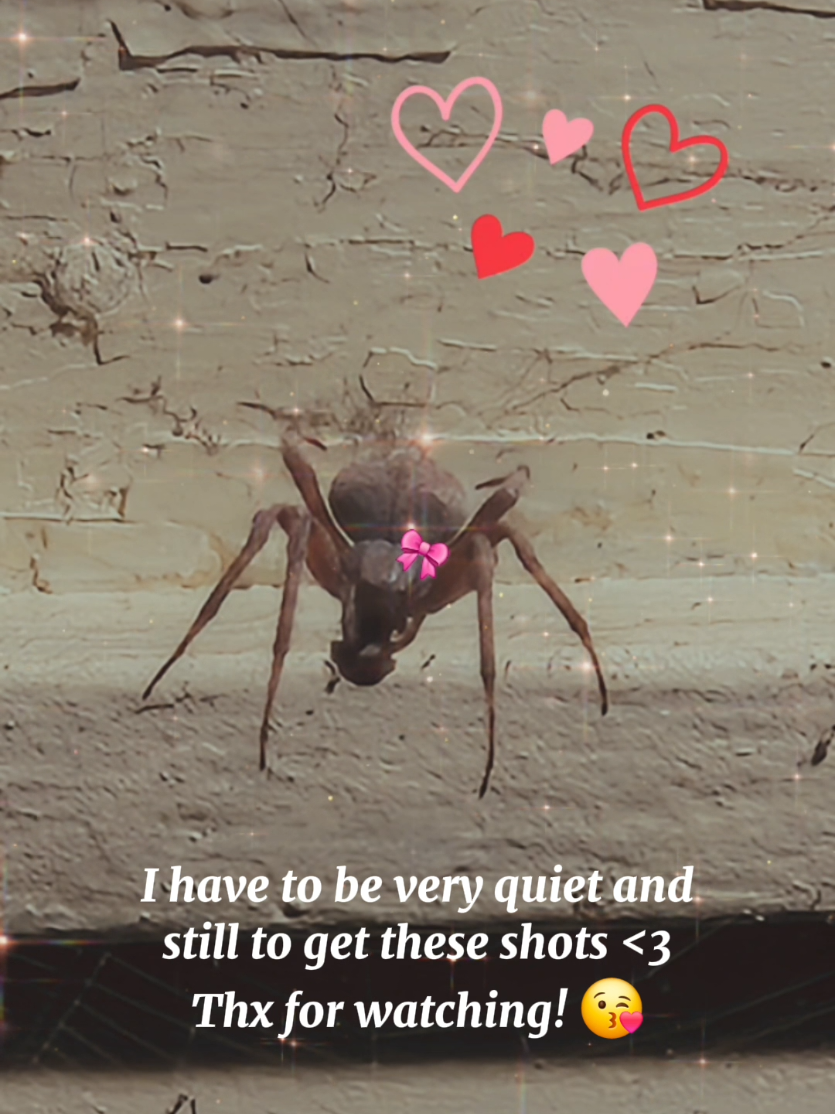 @Kim Kelly