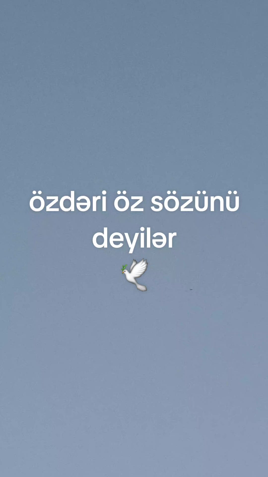 @rövşən