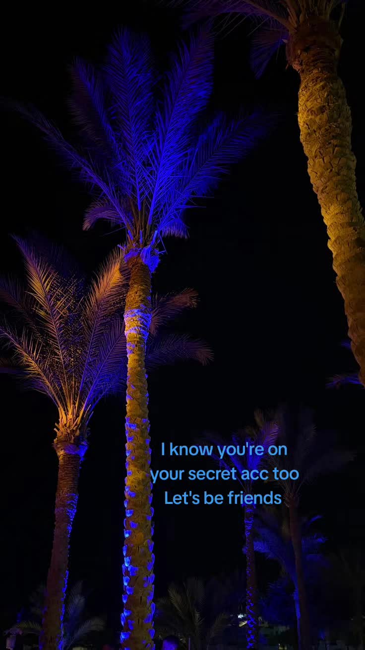@Dom ✝️