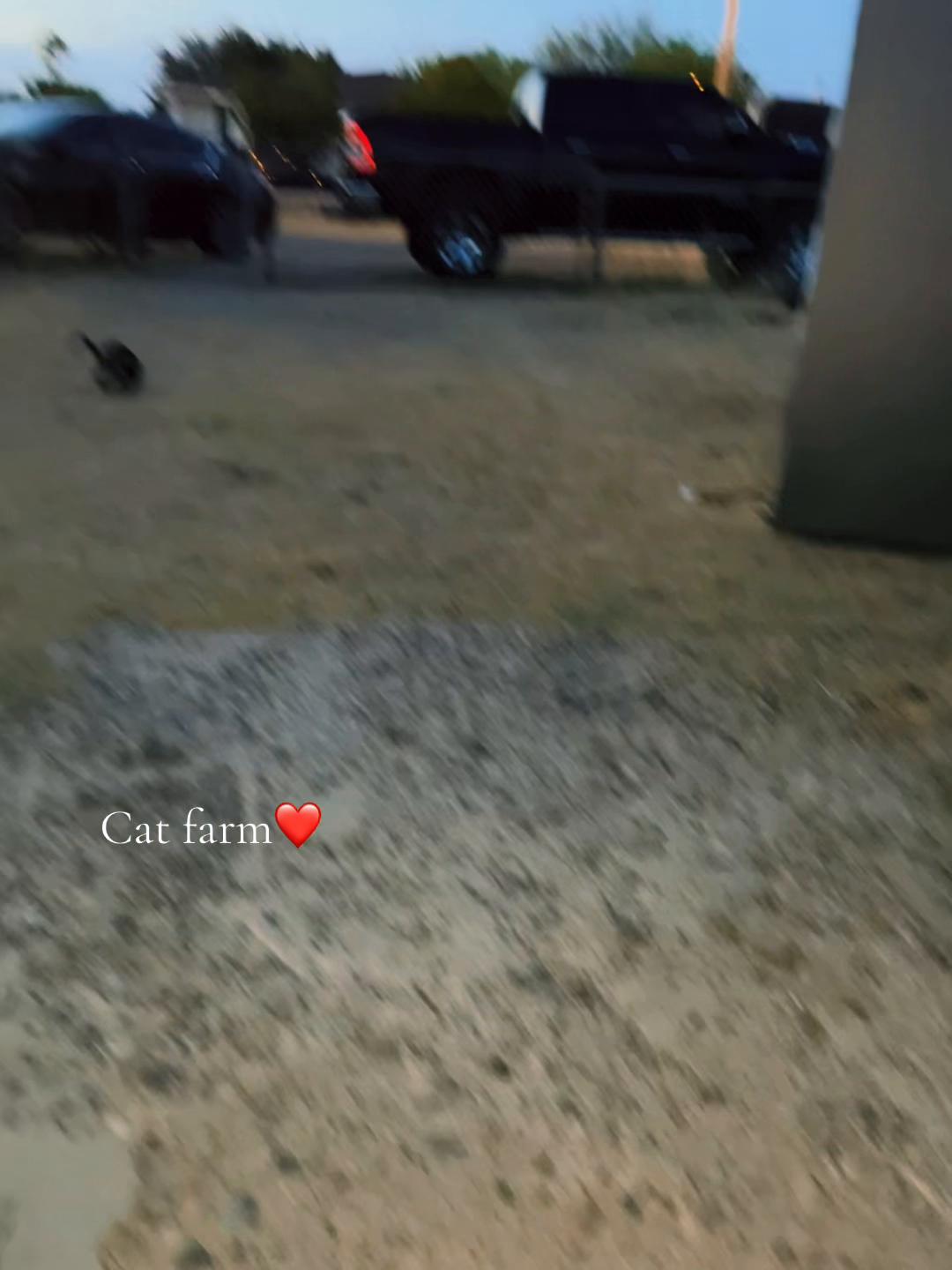 @leyvaroar