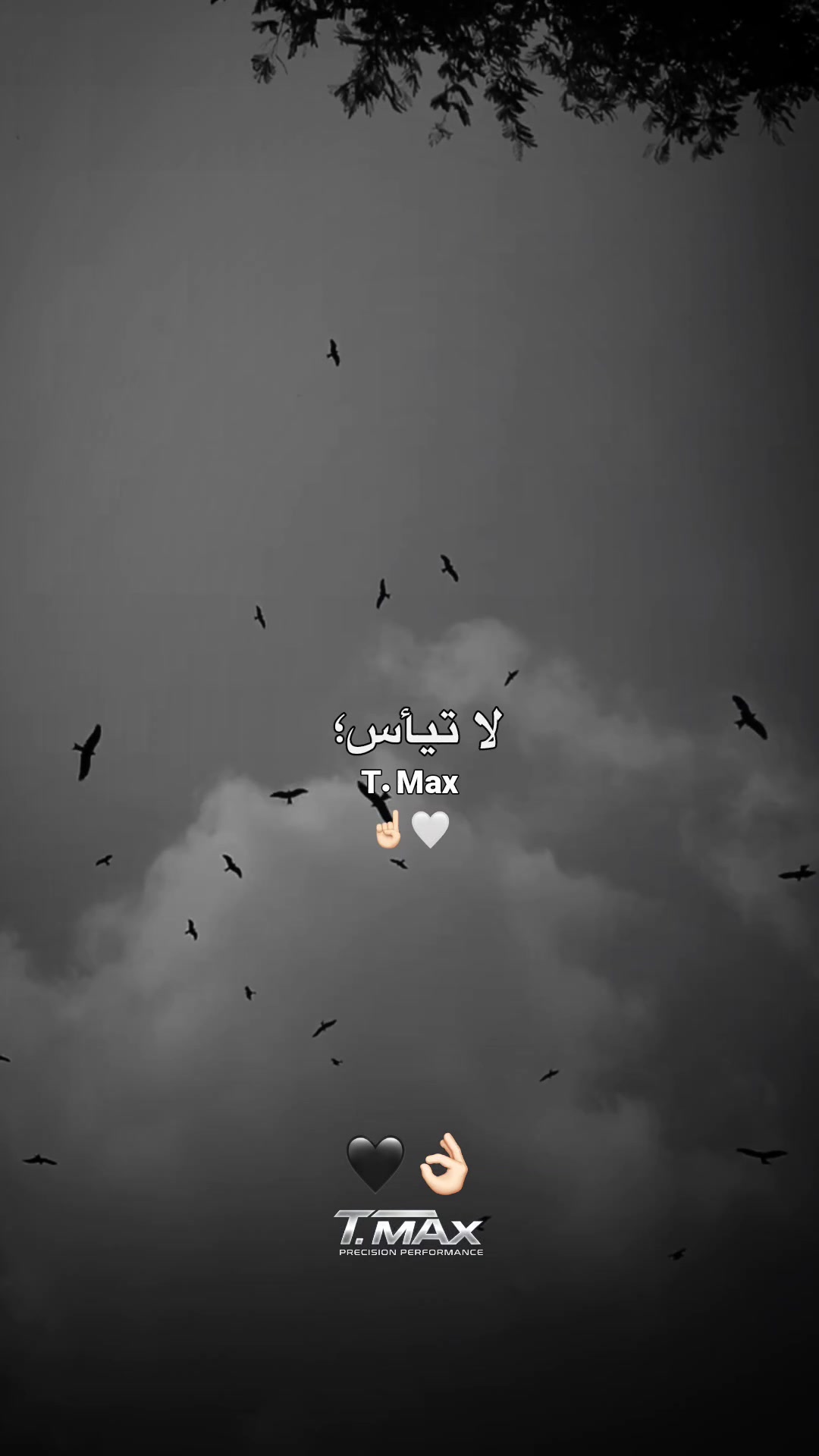 @𝗧-𝗠𝗮𝘅🇩🇿