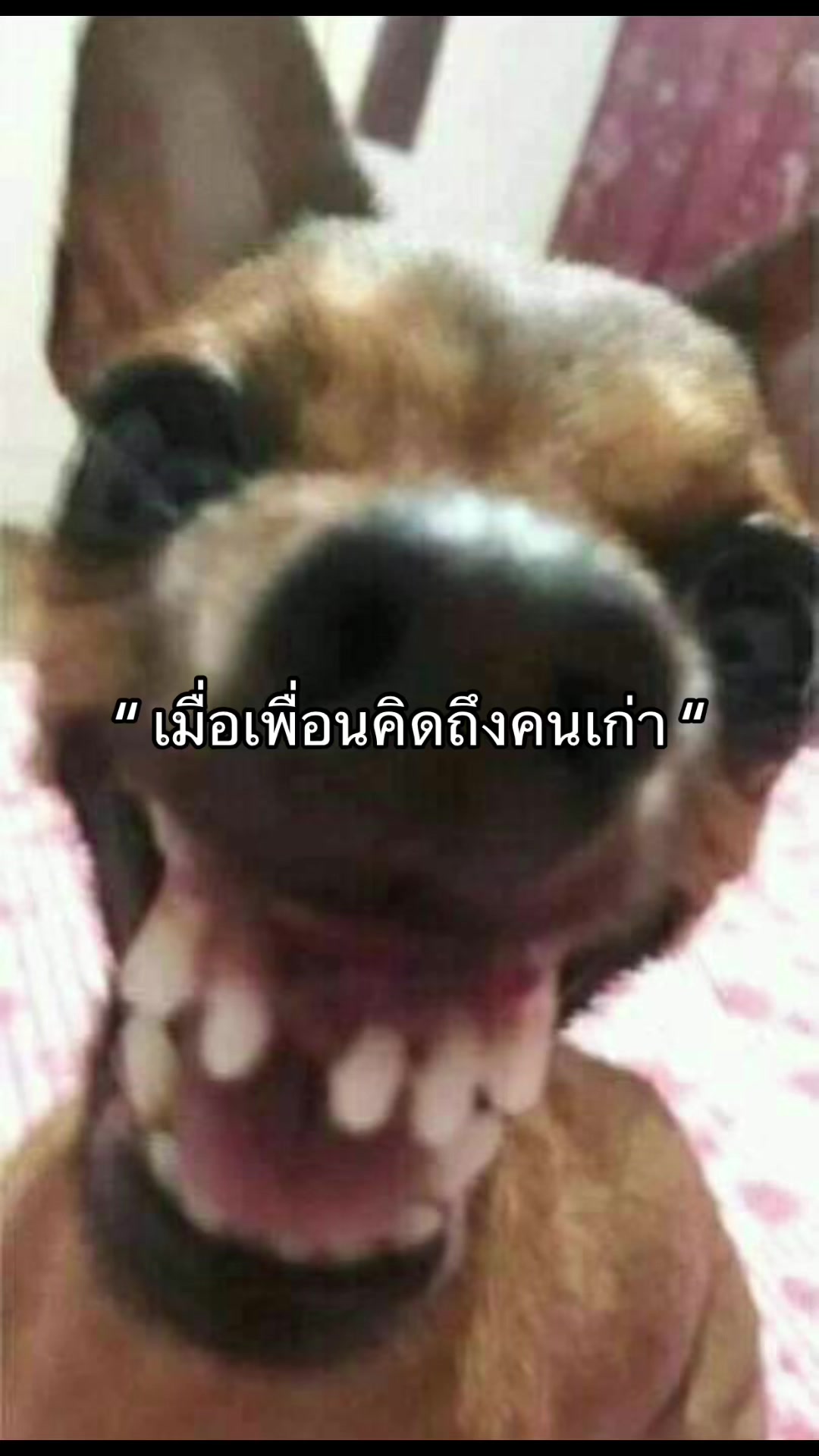 @เอาป่าว🧏🏻♀️
