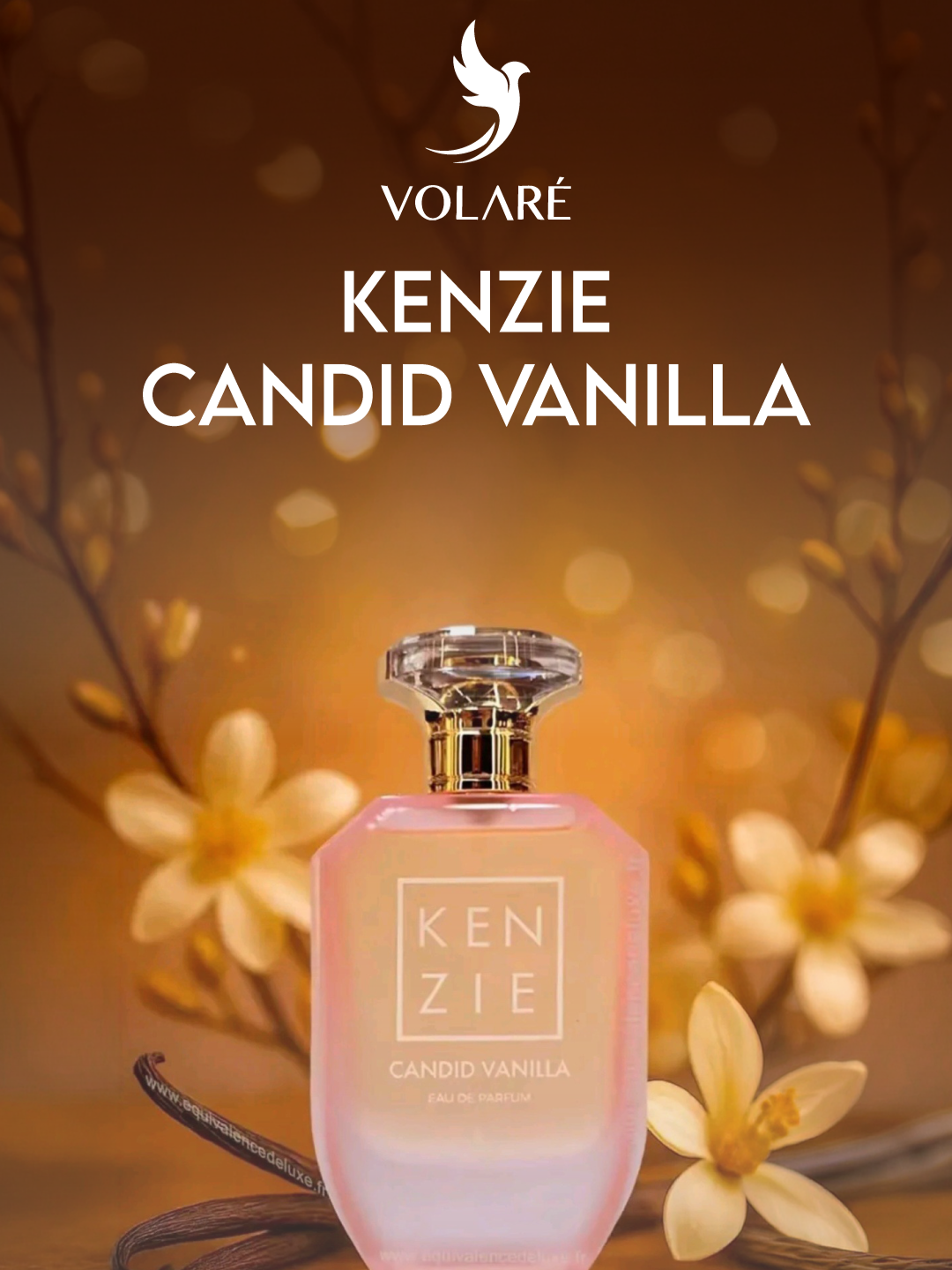 @MultimarcasPerfumesCL