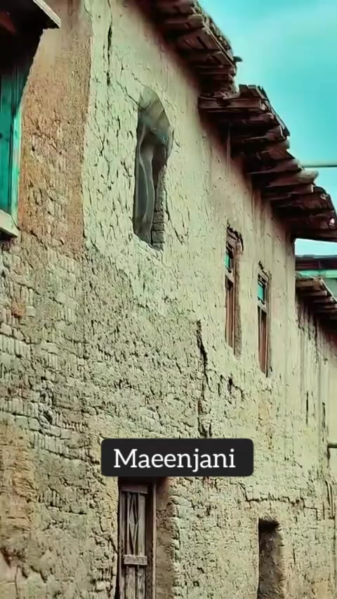 @maeen jani