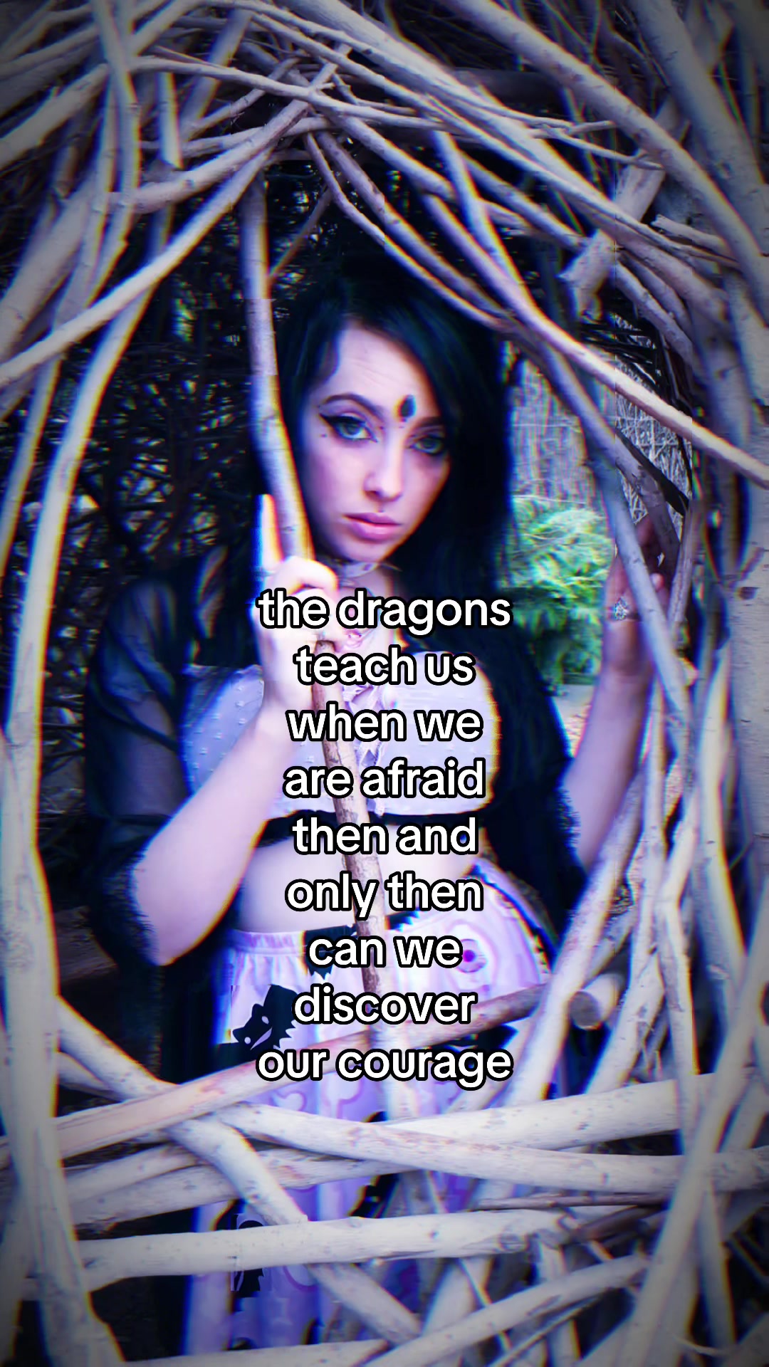 @The Draconic Priestess 🐉