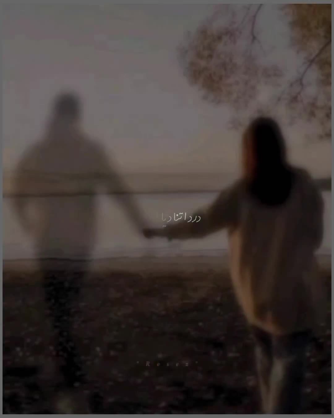 @𓂃♡ 𝓻𝓸𝓼𝓮𝔃 𝓵𝔂𝓻𝓲𝓬𝓼 🌙