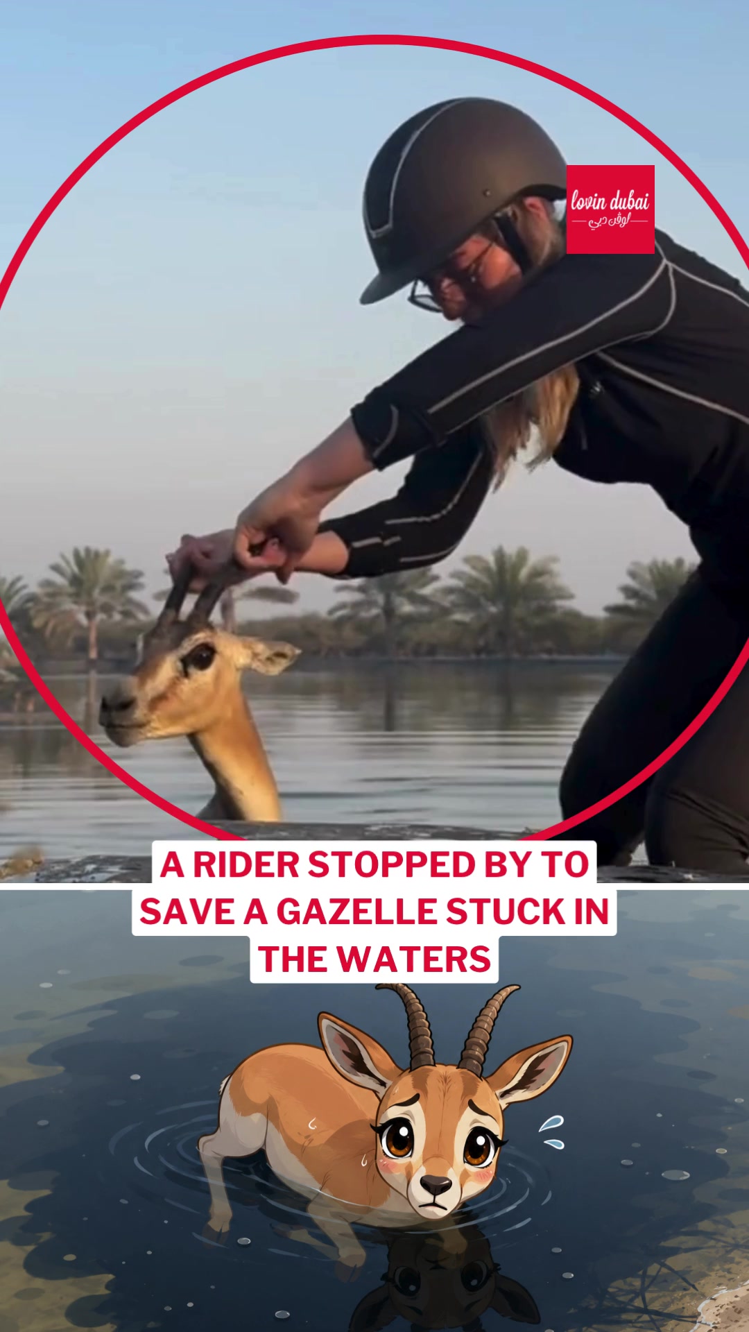@Lovin Dubai | لوڤن دبي