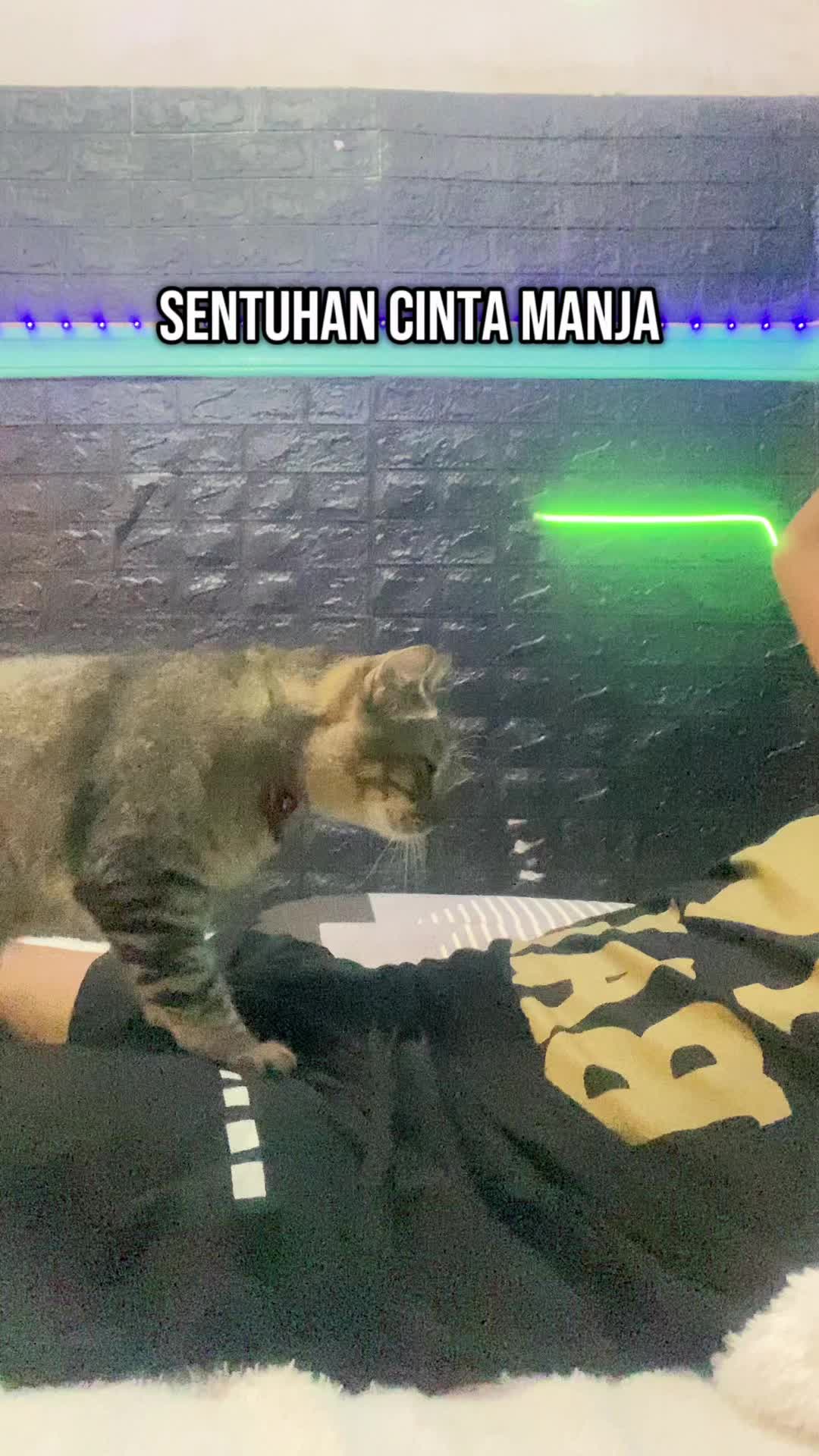 @๐ฝ๐๐๐๐ ๐๐๐๐๐๐๐๐๐