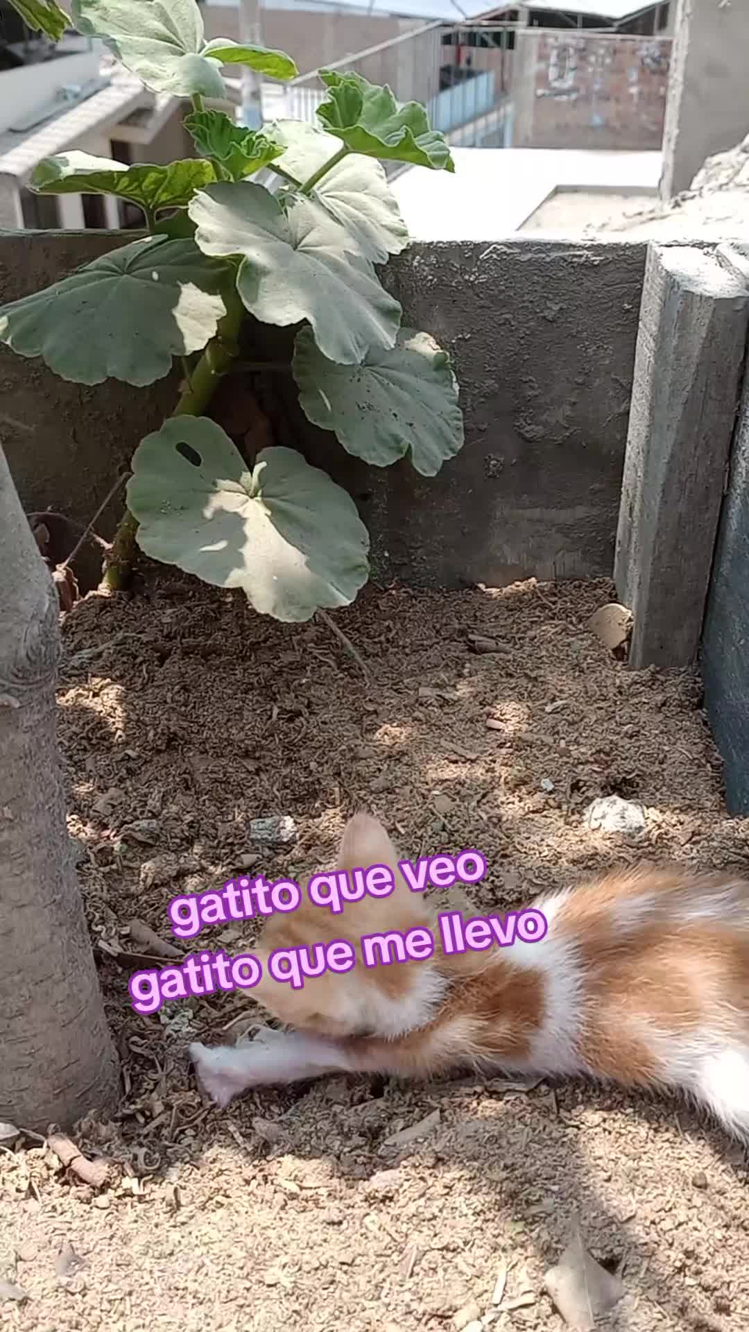 @ELiana 80