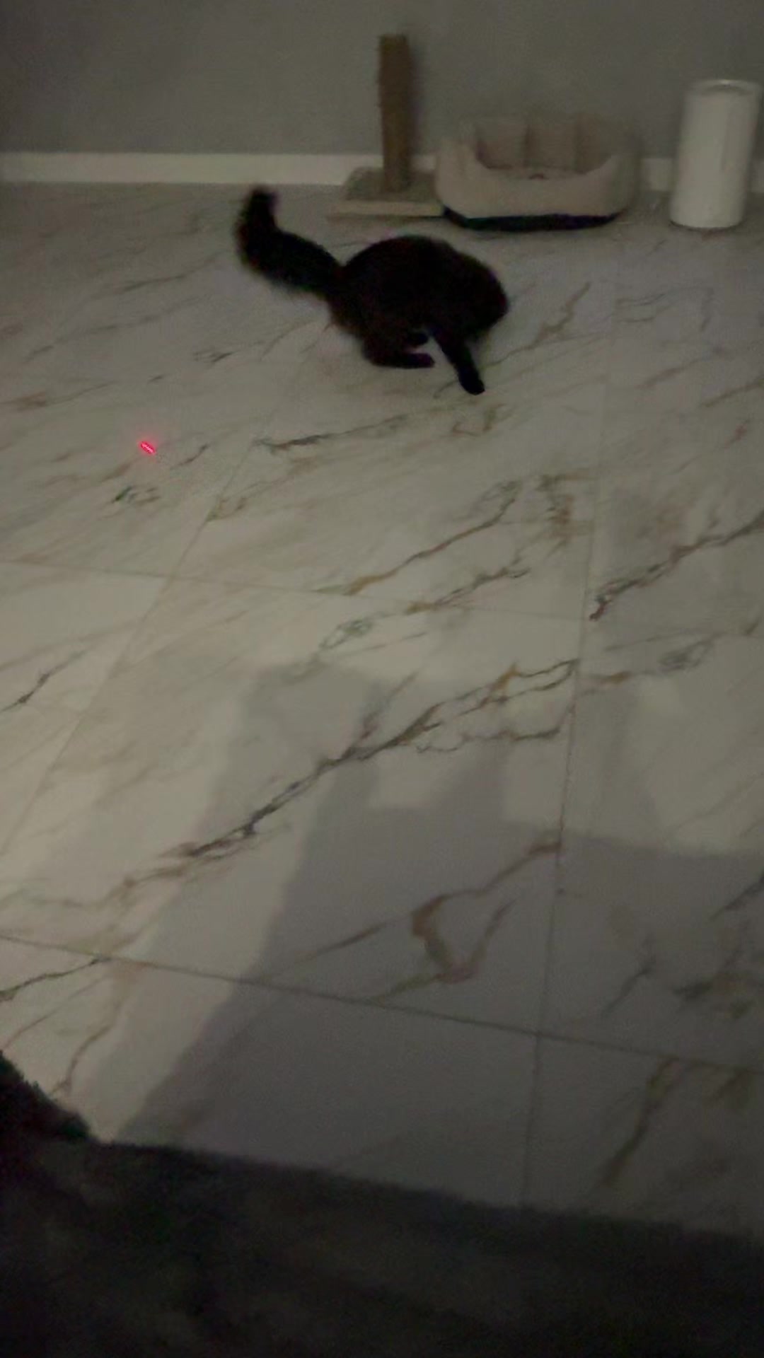 @Cat Sosik