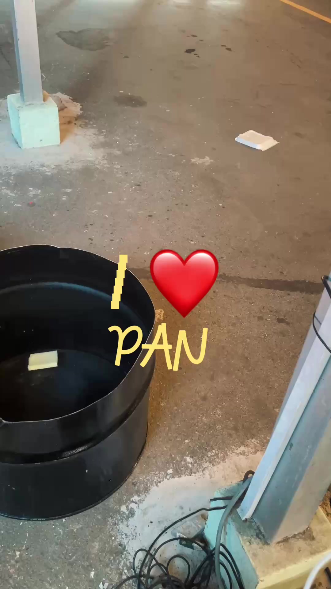 @Zion ©️