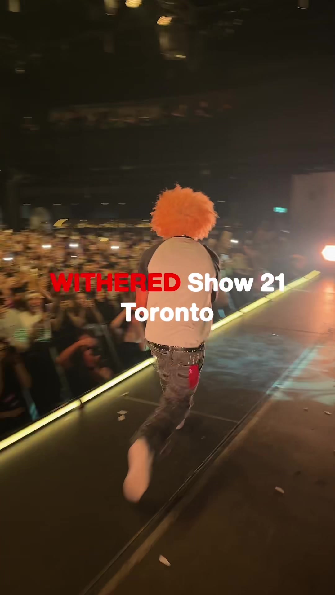 @d4vdtour